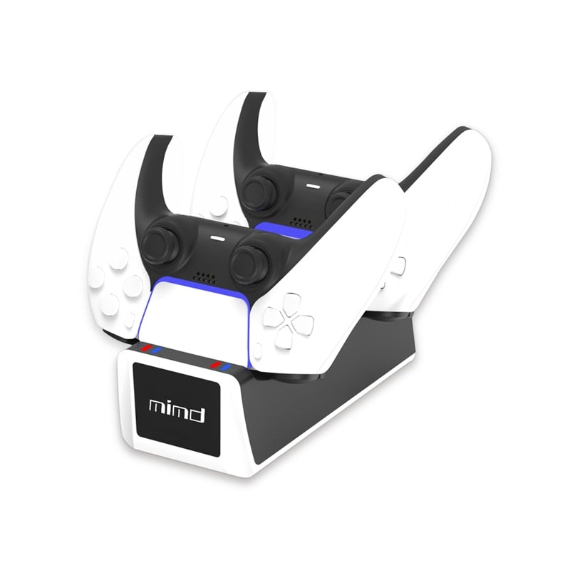 PS5 Wireless Controller Dual Charger
